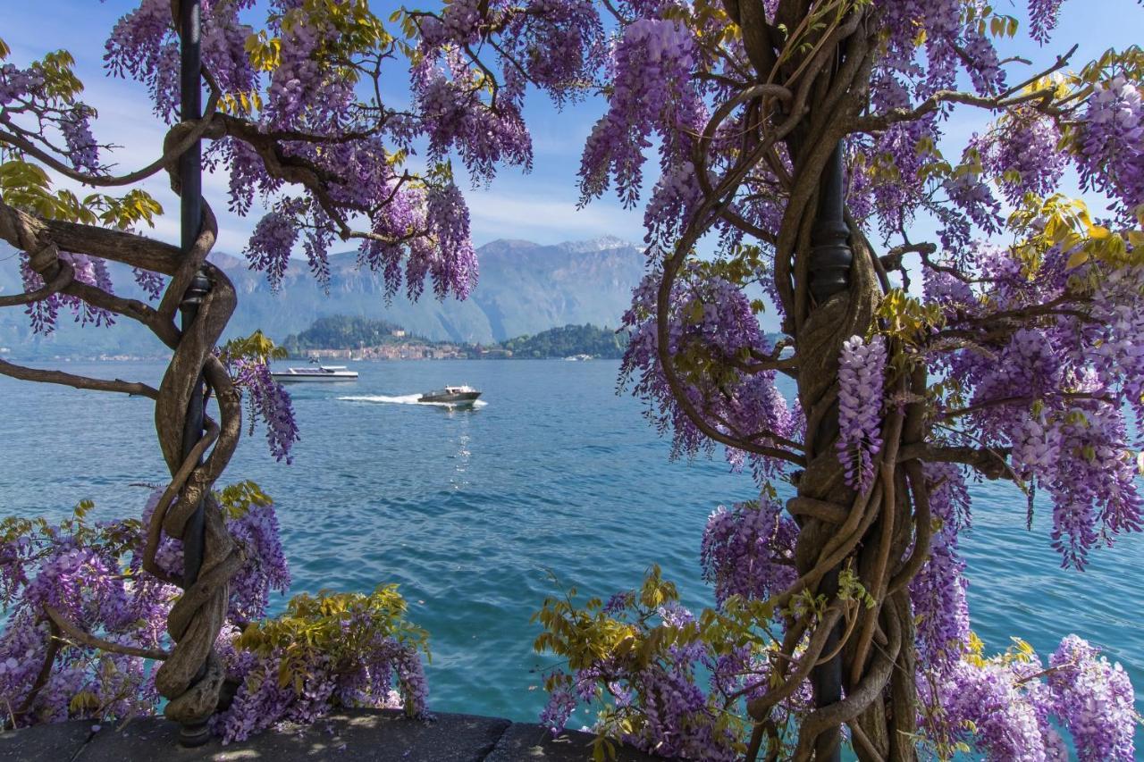 Belmonte Terrazzo Leilighet Pianello Del Lario Eksteriør bilde